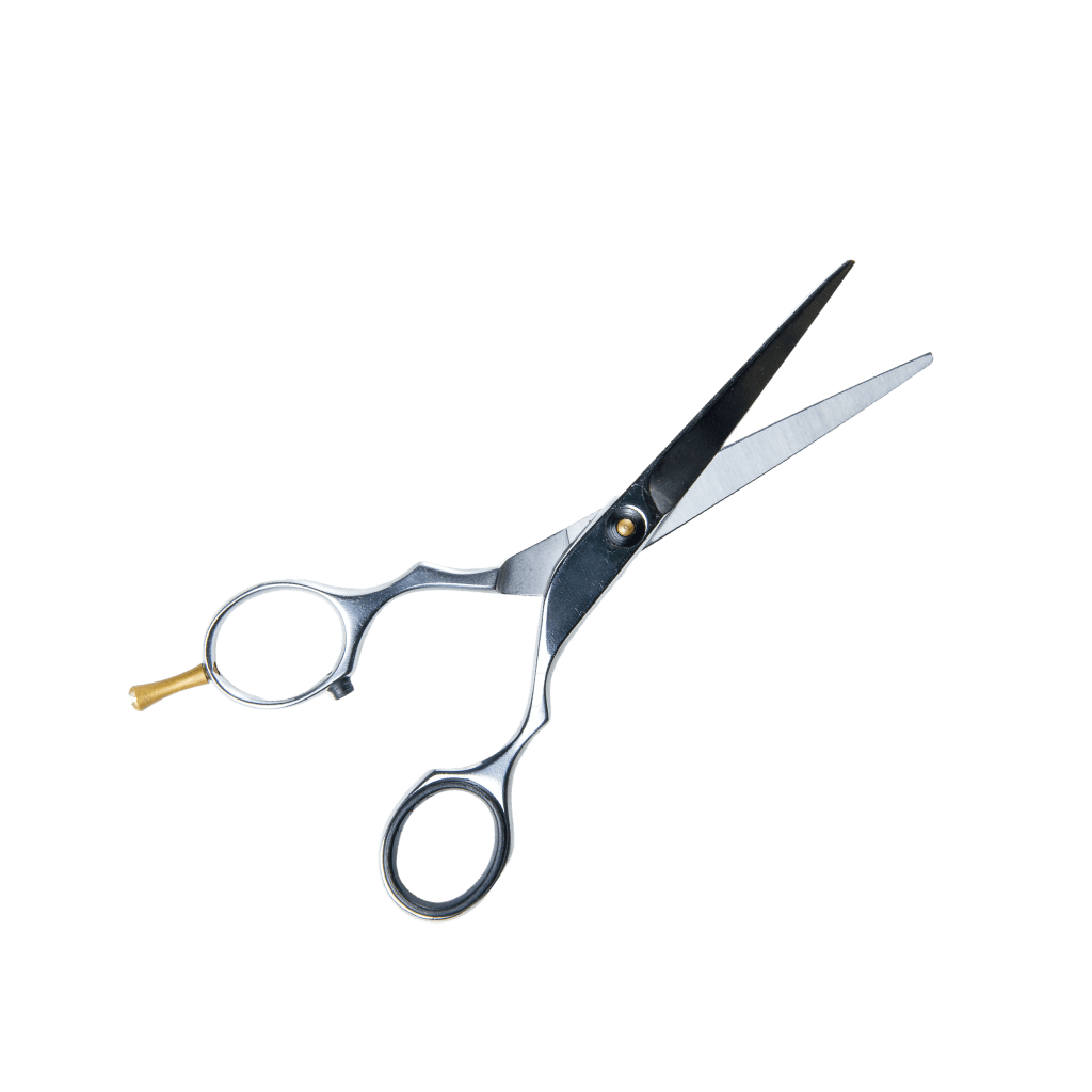 Hair Dressing Scissors